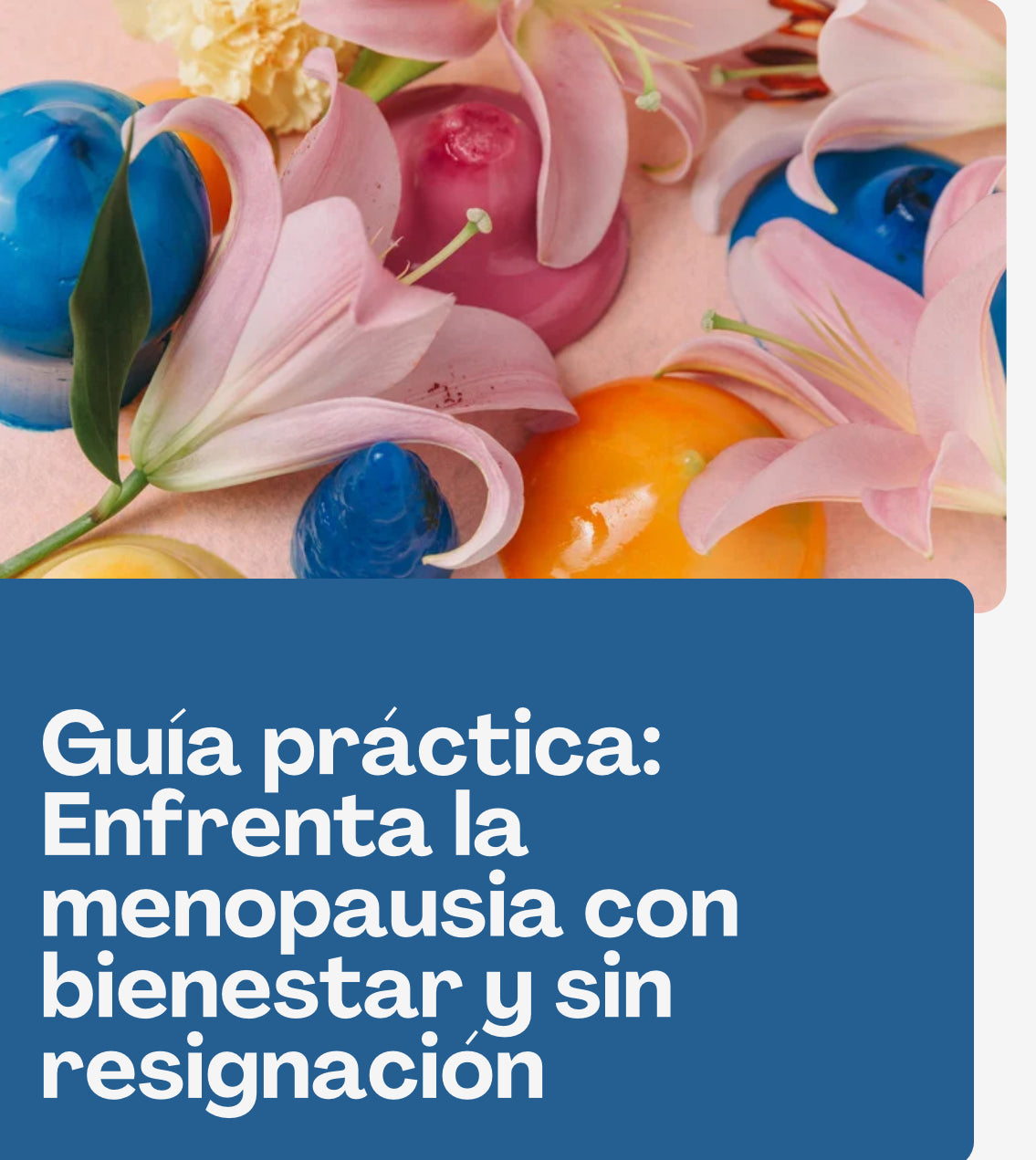 Guía práctica: Enfrenta la menopausia con bienestar y sin resignación